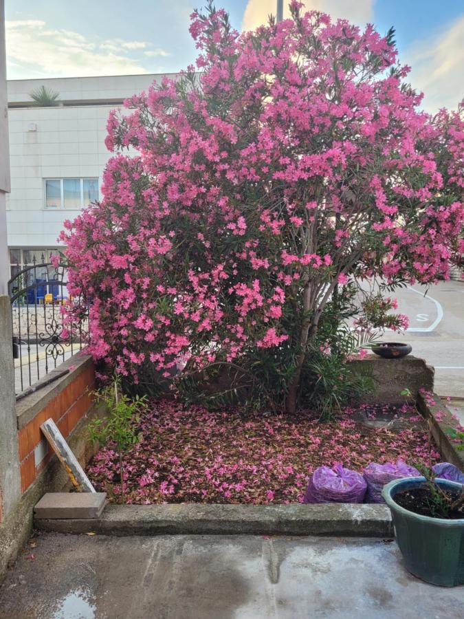 Harizma Apartman Primošten Kültér fotó